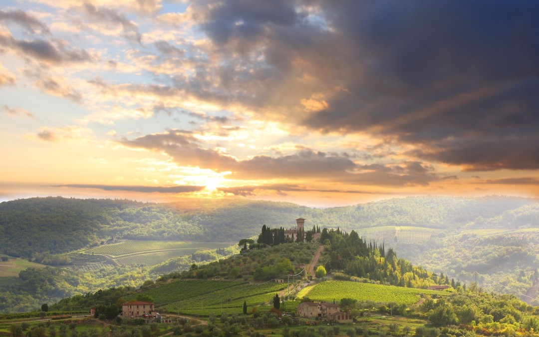 Siena & Montalcino Wine Tour