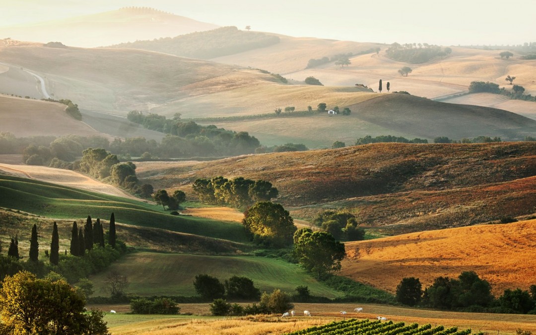 Castles Wine Tour Tuscany